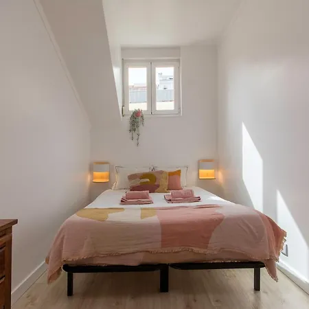 Apartamento New Bright&cozy In Graça
