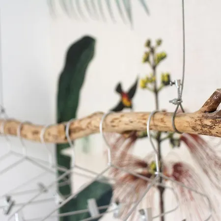 New Bright And Cozy In Graca * Lisboa